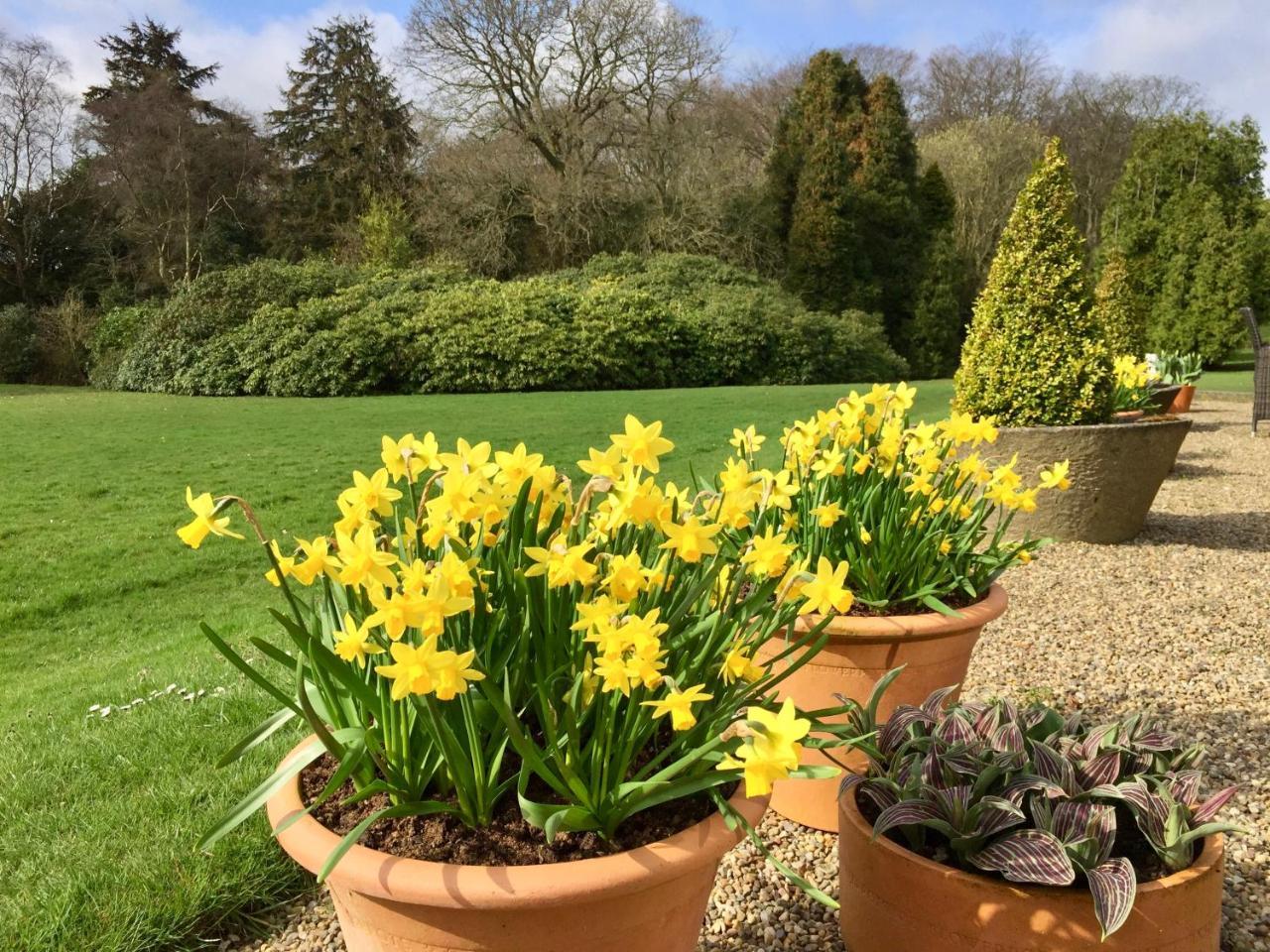 The Wrea Head Hall Country House Hotel & Restaurant 스카버러 외부 사진